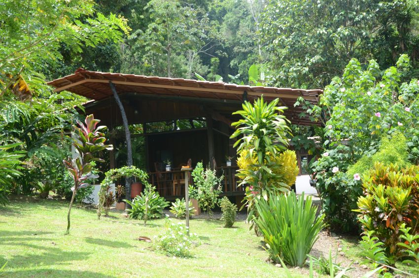 Ceiba Tree Lodge